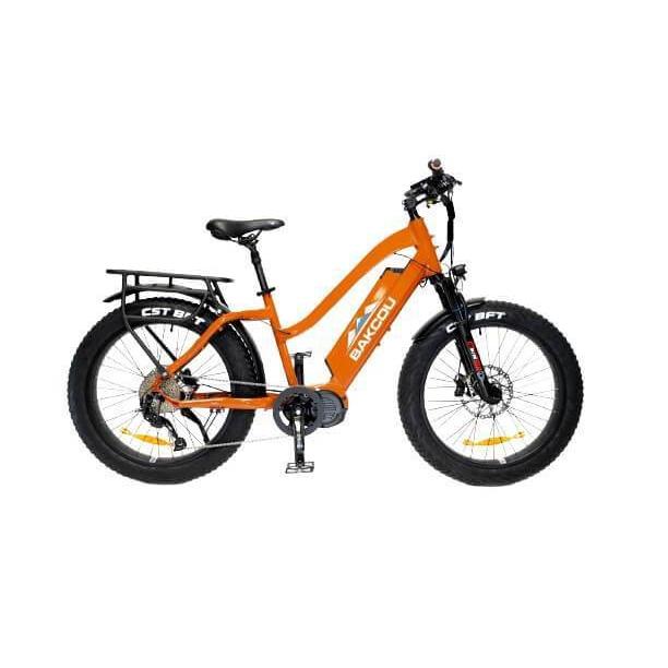 Bakcou Mule 24" Step-Thru (ST) 1000W Fat Tire Adventure Ebike