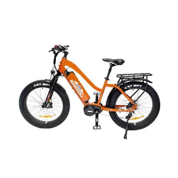 Bakcou Mule 24" Step-Thru (ST) 1000W Fat Tire Adventure Ebike