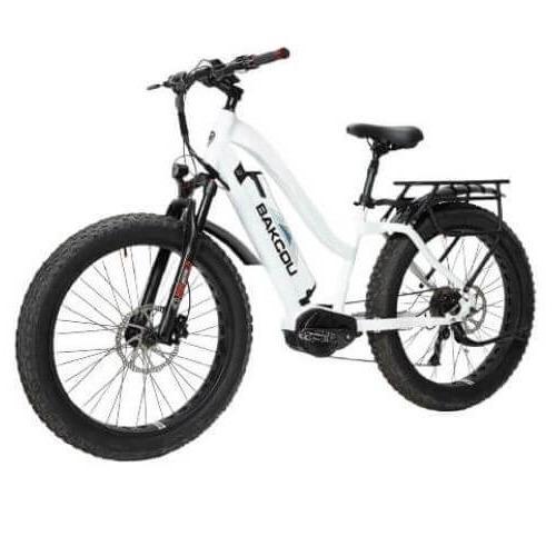 Bakcou Mule 24" Step-Thru (ST) 1000W Fat Tire Adventure Ebike