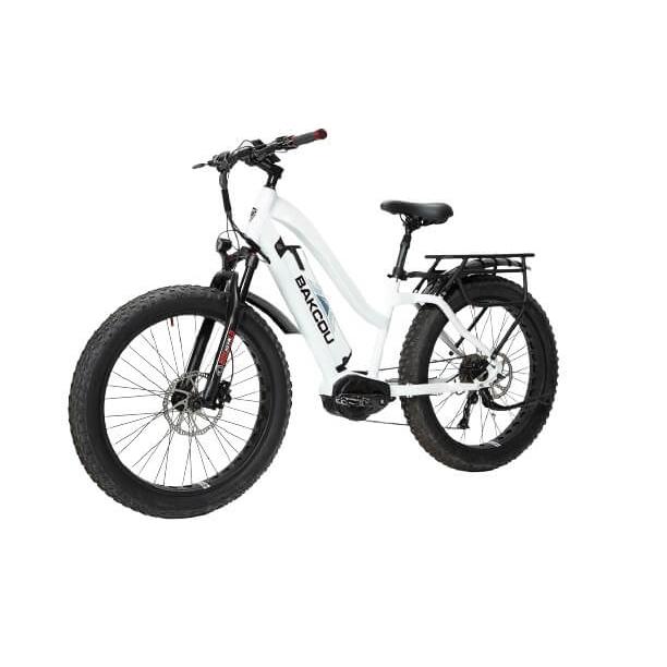 Bakcou Mule 24" Step-Thru (ST) 1000W Fat Tire Adventure Ebike