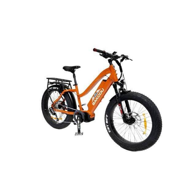Bakcou Mule 24" Step-Thru (ST) 1000W Fat Tire Adventure Ebike